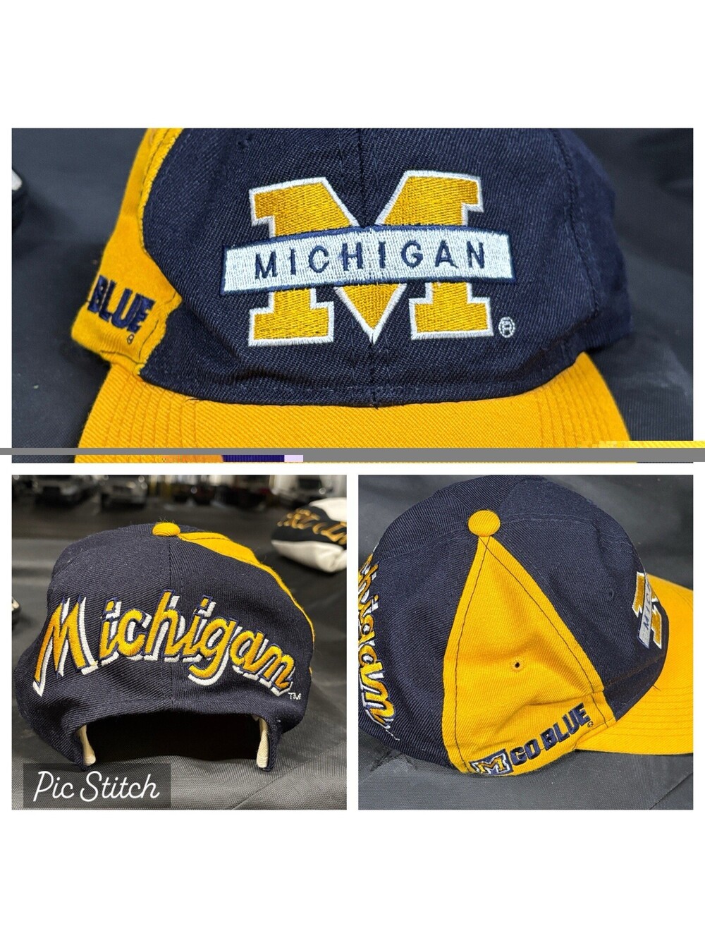 Vintage Michigan Sports Specialties Hat SnapBack Rare Colorblock Go Blue Script